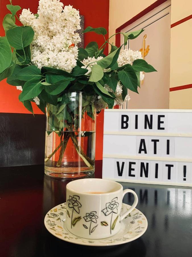 Pensiunea Pastravul Hotell Cîrţişoara Exteriör bild