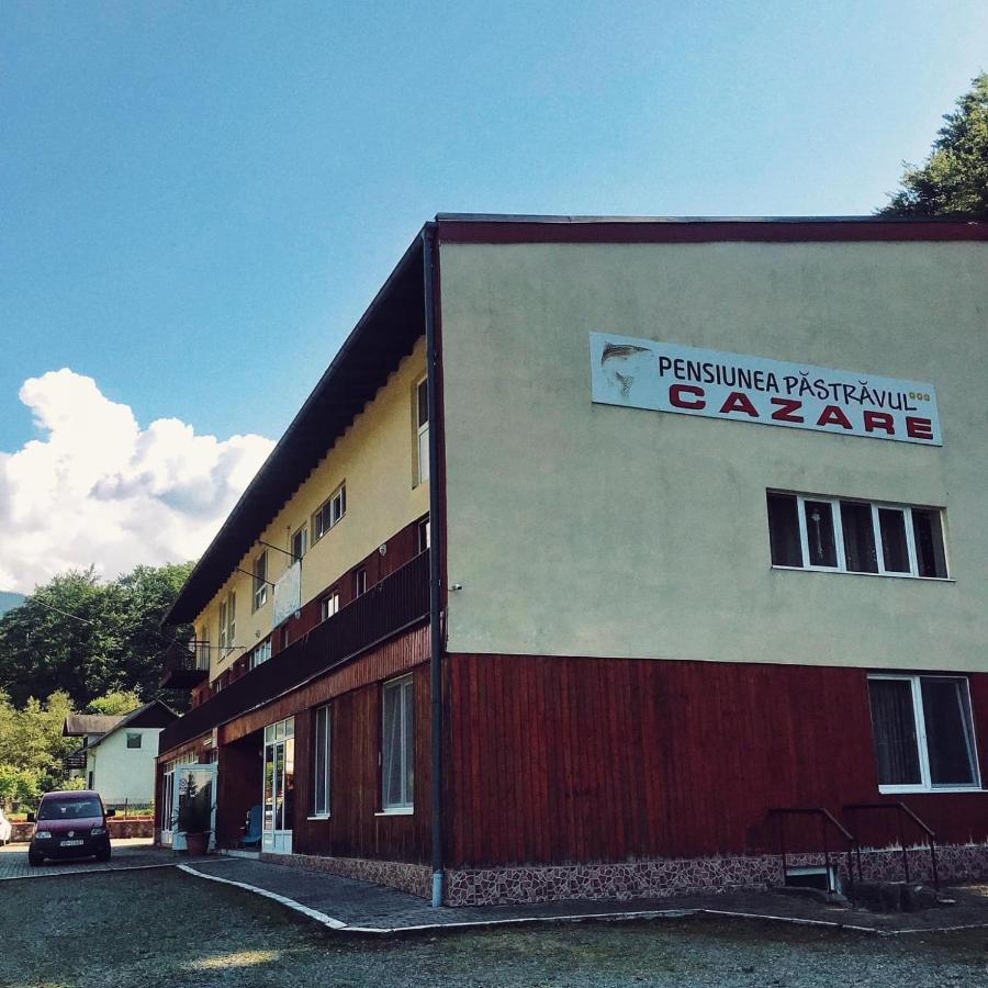 Pensiunea Pastravul Hotell Cîrţişoara Exteriör bild
