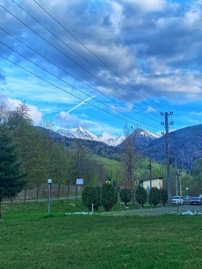 Pensiunea Pastravul Hotell Cîrţişoara Exteriör bild