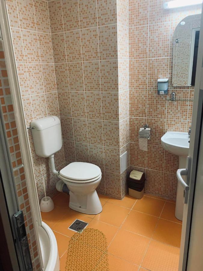 Pensiunea Pastravul Hotell Cîrţişoara Exteriör bild