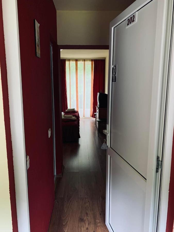 Pensiunea Pastravul Hotell Cîrţişoara Exteriör bild