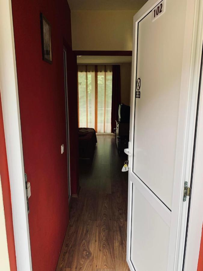 Pensiunea Pastravul Hotell Cîrţişoara Exteriör bild