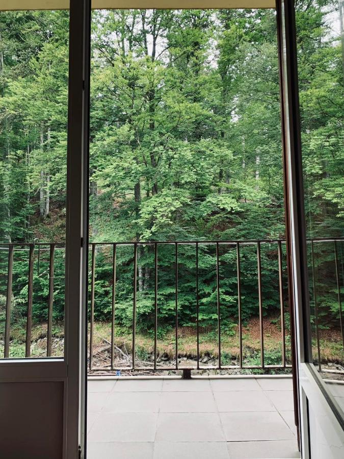 Pensiunea Pastravul Hotell Cîrţişoara Exteriör bild