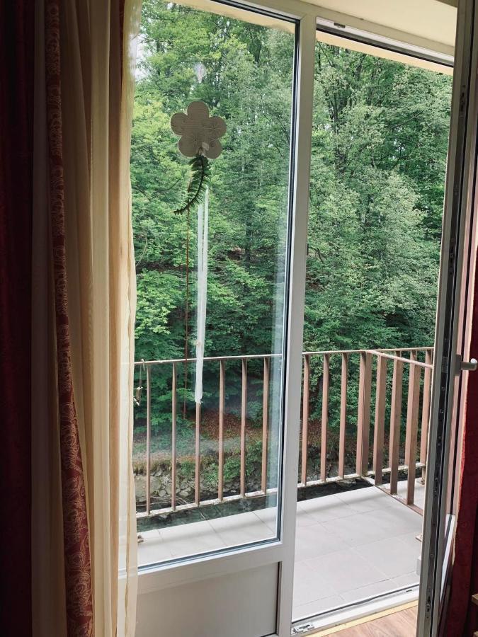 Pensiunea Pastravul Hotell Cîrţişoara Exteriör bild