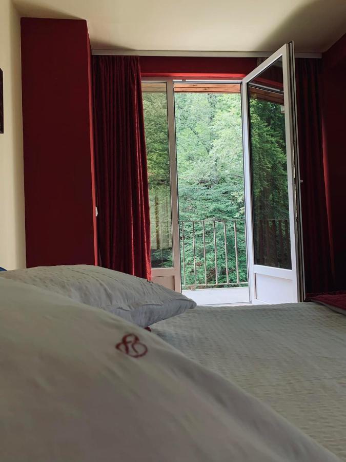 Pensiunea Pastravul Hotell Cîrţişoara Exteriör bild