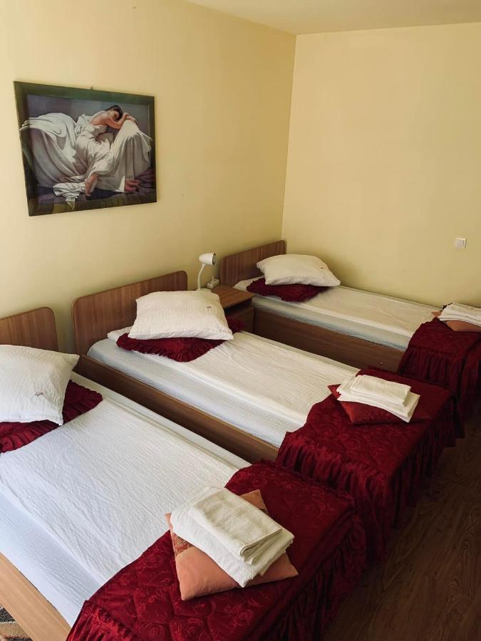 Pensiunea Pastravul Hotell Cîrţişoara Exteriör bild