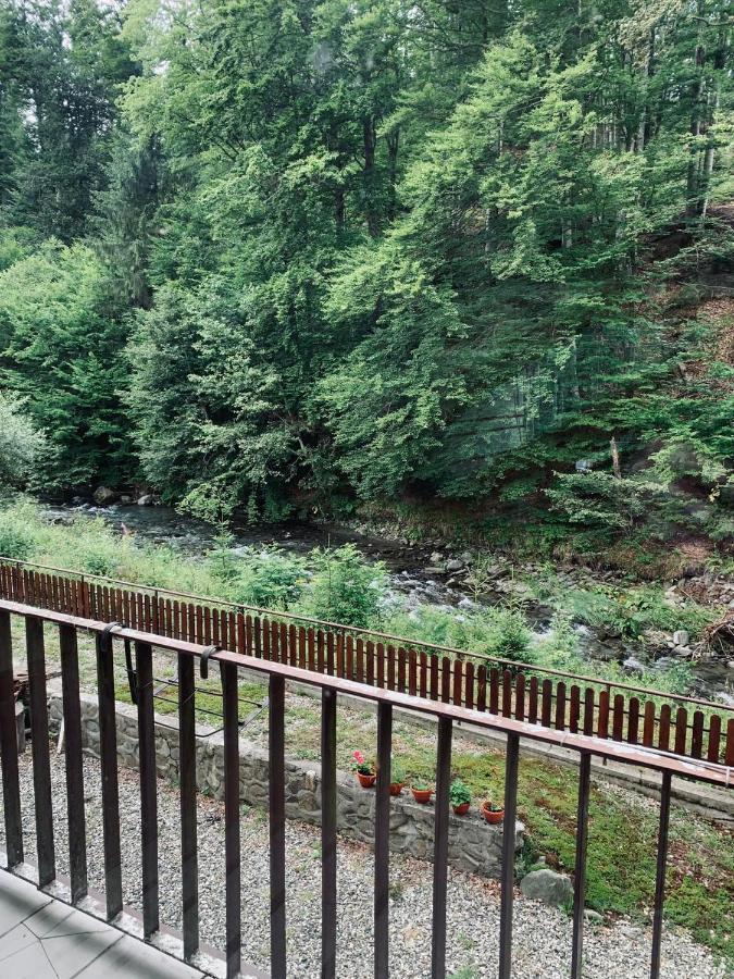 Pensiunea Pastravul Hotell Cîrţişoara Exteriör bild