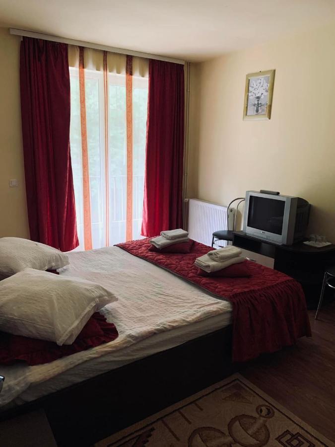 Pensiunea Pastravul Hotell Cîrţişoara Exteriör bild
