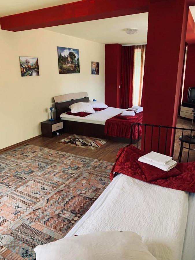 Pensiunea Pastravul Hotell Cîrţişoara Exteriör bild