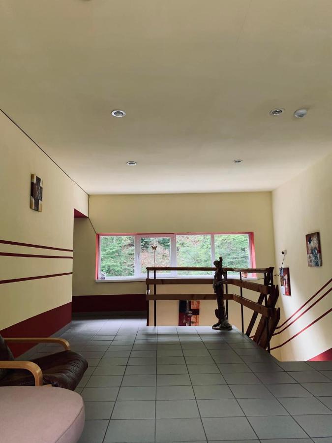 Pensiunea Pastravul Hotell Cîrţişoara Exteriör bild