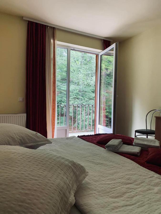 Pensiunea Pastravul Hotell Cîrţişoara Exteriör bild