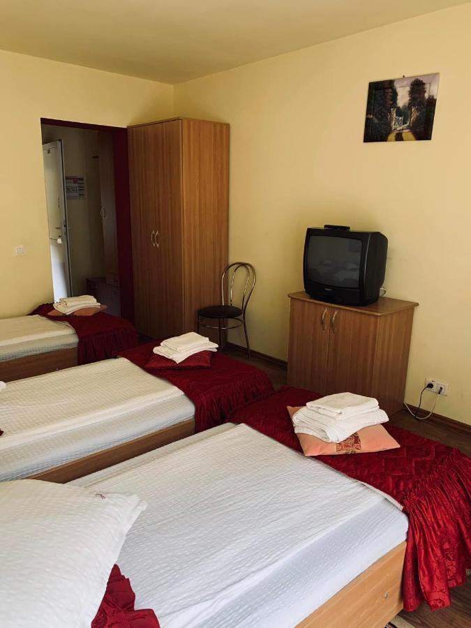 Pensiunea Pastravul Hotell Cîrţişoara Exteriör bild