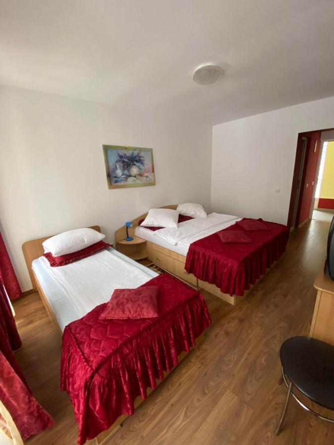 Pensiunea Pastravul Hotell Cîrţişoara Exteriör bild