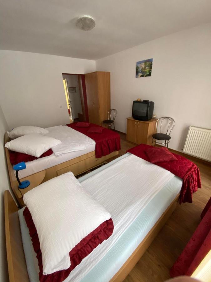 Pensiunea Pastravul Hotell Cîrţişoara Exteriör bild