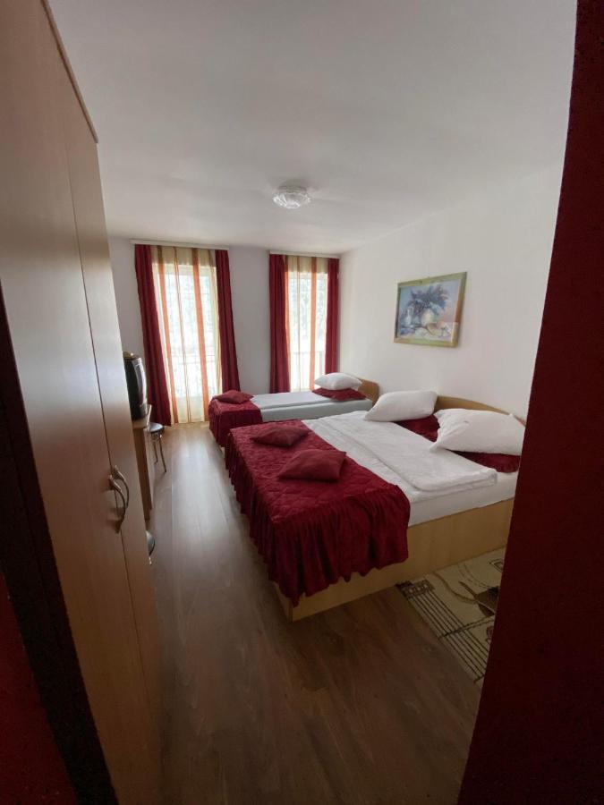 Pensiunea Pastravul Hotell Cîrţişoara Exteriör bild