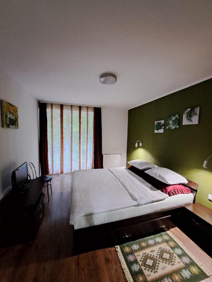 Pensiunea Pastravul Hotell Cîrţişoara Exteriör bild