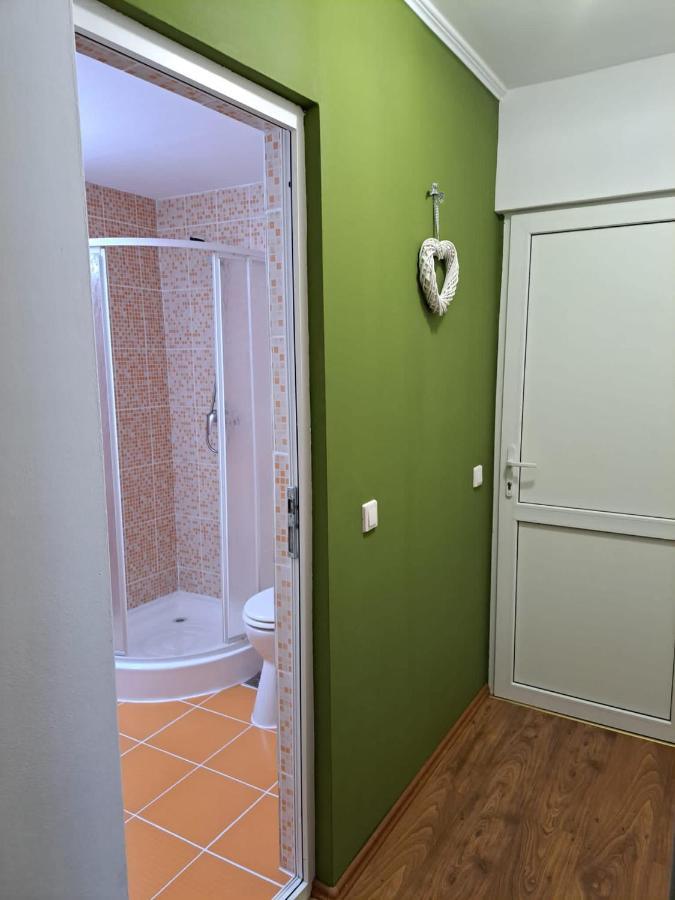 Pensiunea Pastravul Hotell Cîrţişoara Exteriör bild