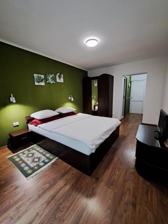 Pensiunea Pastravul Hotell Cîrţişoara Exteriör bild